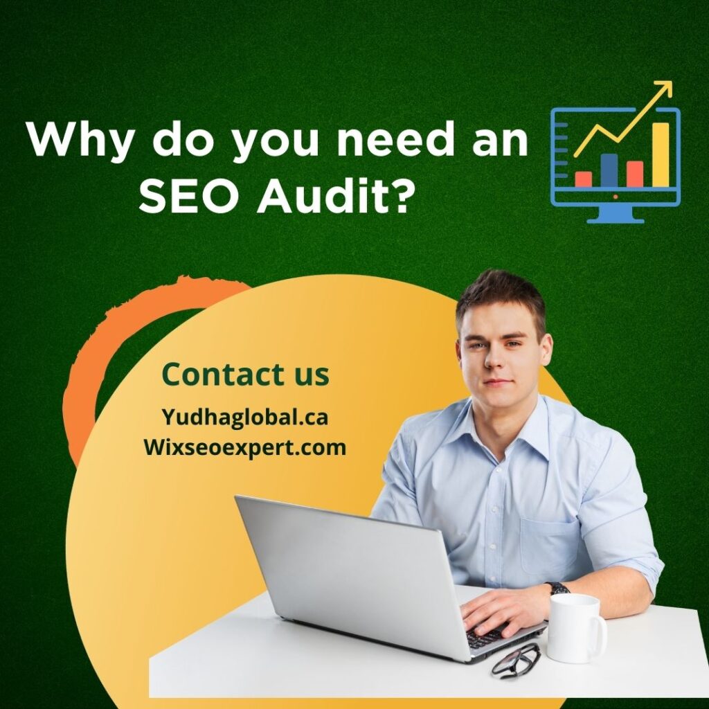 Why do you need an SEO Audit